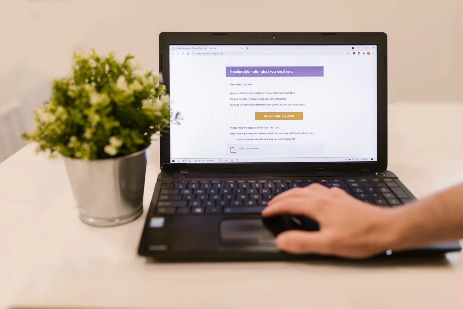 Person using a laptop to read an email indoors beside a potted plant. Software worth it for a small team's email marketing budget