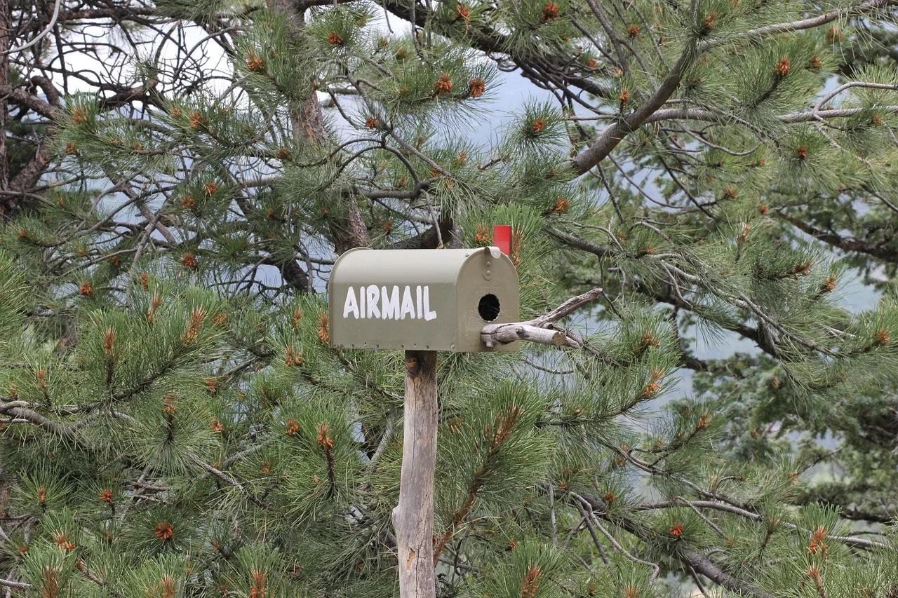 airmail, snail mail, first class, trees, nature, forest, mail, mailbox. Email deliverability best practices: an overview