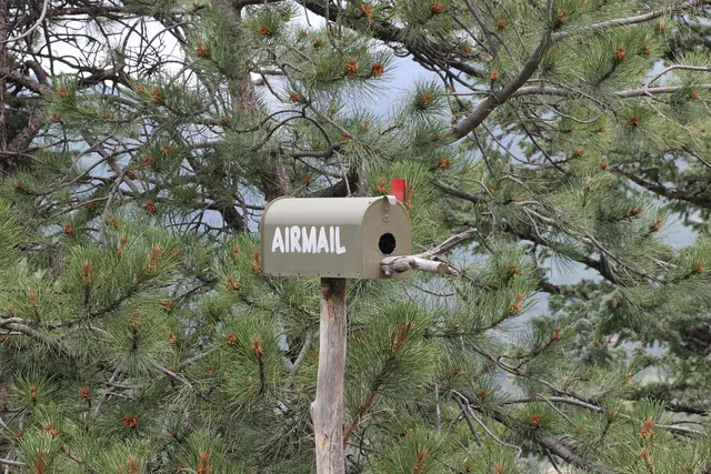 airmail, snail mail, first class, trees, nature, forest, mail, mailbox. Email deliverability best practices: an overview
